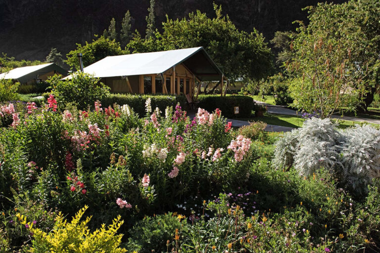 Group Tent Exterior Garden